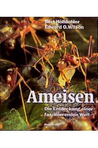Ameisen: Die Entdeckung einer faszinierenden Welt.