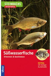 Süßwasserfische: Erkennen und bestimmen (Steinbachs Naturführer)
