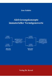 Aktivierungskonzepte immaterieller Vermögenswerte (Schriften zum Betrieblichen Rechnungswesen und Controlling) Schütte, Jens