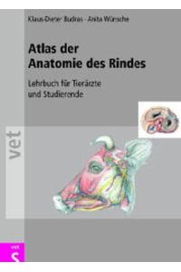 Atlas der Anatomie des Rindes. Lehrbuch für Tierärzte und Studierende