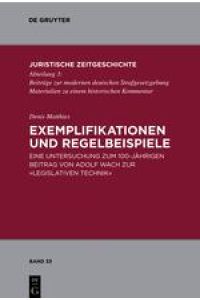 Exemplifikationen und Regelbeispiele  - Eine Untersuchung zum 100-jährigen Beitrag von Adolf Wach zur Legislativen Technik