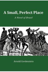 A Small, Perfect Place  - A Novel of Brazil