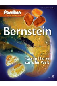 Bernstein  - Fossile Harze aus aller Welt
