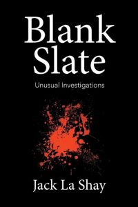 Blank Slate  - Unusual Investigations