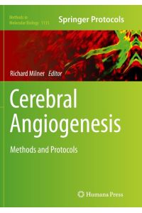 Cerebral Angiogenesis  - Methods and Protocols