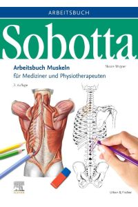 Sobotta Arbeitsbuch Muskeln  - Arbeitsbuch für Mediziner und Physiotherapeuten