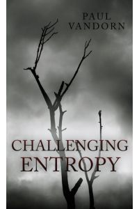 Challenging Entropy