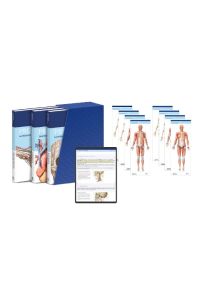 PROMETHEUS LernPaket Anatomie  - LernAtlas Anatomie