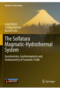 The Solfatara Magmatic-Hydrothermal System  - Geochemistry, Geothermometry and Geobarometry of Fumarolic Fluids