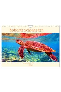 Meeresschildkröten - Bedrohte Schönheiten (Wandkalender 2024 DIN A4 quer), CALVENDO Monatskalender  - Faszinierende Geschöpfe, deren Begegnung unvergeßliche Momente beschert