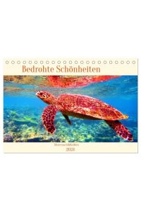 Meeresschildkröten - Bedrohte Schönheiten (Tischkalender 2024 DIN A5 quer), CALVENDO Monatskalender  - Faszinierende Geschöpfe, deren Begegnung unvergeßliche Momente beschert