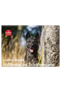ausdrucksvolle Holländische Schäferhunde (Wandkalender 2024 DIN A3 quer), CALVENDO Monatskalender  - Beieindruckend und ausdrucksstark - Holländische Schäferhunde