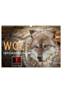Wolf - Imposanter Jäger (Wandkalender 2024 DIN A3 quer), CALVENDO Monatskalender  - Es hat 150 Jahre gedauert, aber jetzt sind sie wieder da - Wölfe.