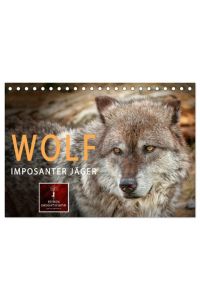 Wolf - Imposanter Jäger (Tischkalender 2024 DIN A5 quer), CALVENDO Monatskalender  - Es hat 150 Jahre gedauert, aber jetzt sind sie wieder da - Wölfe.