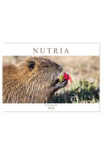 NUTRIA mit Nachwuchs (Wandkalender 2024 DIN A2 quer), CALVENDO Monatskalender  - Nutria hautnah
