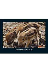 Waldbewohner 2024 Fotokalender DIN A5  - Monatskalender mit Bild-Motiven von Haustieren, Bauernhof, wilden Tieren und Raubtieren