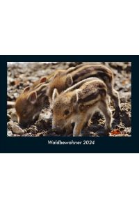 Waldbewohner 2024 Fotokalender DIN A4  - Monatskalender mit Bild-Motiven von Haustieren, Bauernhof, wilden Tieren und Raubtieren