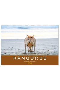 Kängurus, sprunghafte Gesellen (Wandkalender 2024 DIN A2 quer), CALVENDO Monatskalender  - Das Wahrzeichen Australiens in 12 faszinierenden Bildern