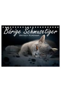 Bärige Schmusetiger - Britisch Kurzhaar / CH-Version (Tischkalender 2024 DIN A5 quer), CALVENDO Monatskalender  - Liebevolle Fotoserie von Britisch Kurzhaar Kätzchen