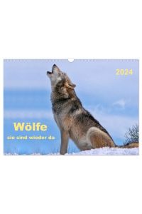 Wölfe - sie sind wieder da (Wandkalender 2024 DIN A3 quer), CALVENDO Monatskalender  - Es hat 150 Jahre gedauert, aber jetzt sind sie wieder da - Wölfe.