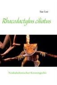 Rhacodactylus ciliatus  - Neukaledonischer Kronengecko