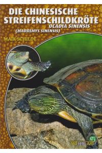 Die Chinesische Streifenschildkröte