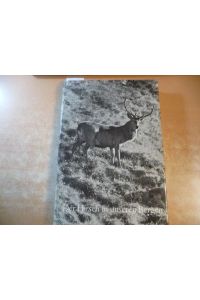 Der Hirsch in unseren Bergen. Ein Buch vom Gebirgshirsch der Schweiz für Freunde der Berge und ihres Wildes
