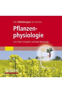 Alle Grafiken des Lehrbuchs Pflanzenphysiologie