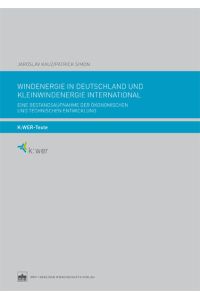 Windenergie in Deutschland und Kleinwindenergie international  - Eine Bestandsaufnahme der ökonomischen und technischen Entwicklung