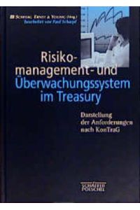 Risikomanagement- und Überwachungssystem im Treasury  - Darstellung der Anforderungen nach KonTraG