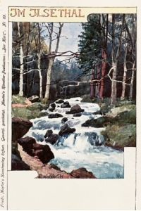 Im Ilsethal.   - Martin's Künstler-Postkarten: Der Harz. Nr. 89.