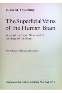 The superficial veins of the human brain : veins of the brain stem and of the base of the brain.