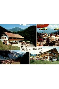 BLICKNER - ALM  1000m, 8222 Ruhpoldinge / Oberbayern / Postkarte ungelaufen