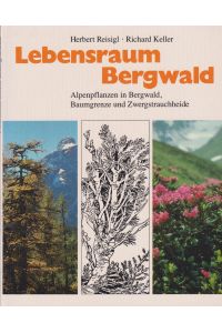 Lebensraum Bergwald  - Alpenpflanzen in Bergwald, Baumgrenze und Zwergstrauchheide; Vegetationsökologische Informationen für Studien, Exkursionen und Wanderungen