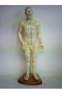 Akupunkturmodell, männlich, aus Kunststoff auf Holzplatte mit fixierenden Metallstangen gesteckt