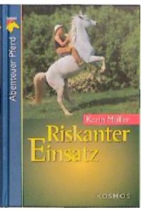 Riskanter Einsatz  - Karin Müller