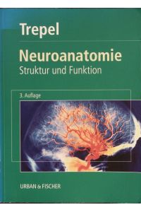 Neuroanatomie.