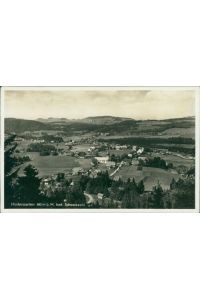 Ansichtskarte Hinterzarten Schwarzwald (Nr. 9010)