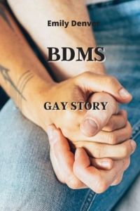 Bdms: (Gay Story)