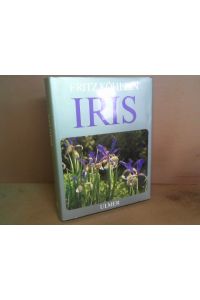 Iris.