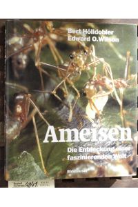 Ameisen : die Entdeckung einer faszinierenden Welt  - Aus dem Amerikan. von Susanne Böll