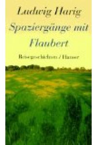 Spaziergänge mit Flaubert : Reisegeschichten.