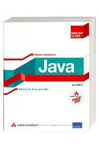 Java Master Class. Einstieg für Anspruchsvolle von Karsten Samaschke