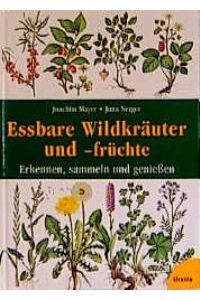 Essbare Wildkräuter und -früchte von Joachim Meyer (Autor), Jutta Nerger (Autor)