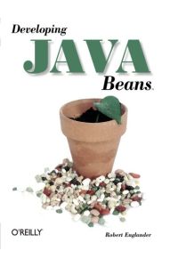 Developing Java Beans (Java (Addison-Wesley))