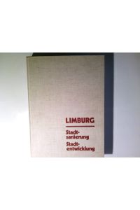 Limburg Stadtsanierung, Stadtentwicklung