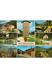 1121591 Wildemann Wassertreten - Ortsansicht - Am Lesesaal Mehrbildkarte
