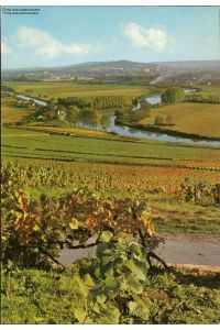 1125838 La Marne et la vignoble devant Hautvillers