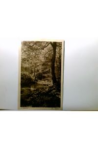 Im Ilsetal. Alte AK s/w, gel. 1921. A. Hoffmann, aus der Mappe : Der Harz. Bach, Fluss, Ilse, Wald - Panorama