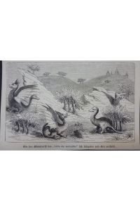 Orig. Holzstich: Wie der Miniaturist des Livre des merveilles sich Alligator und Boa vorstellt.